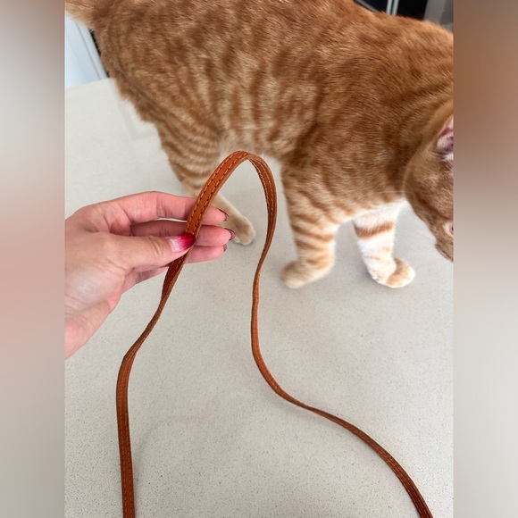 Mango Basket - Picture 4 of 4